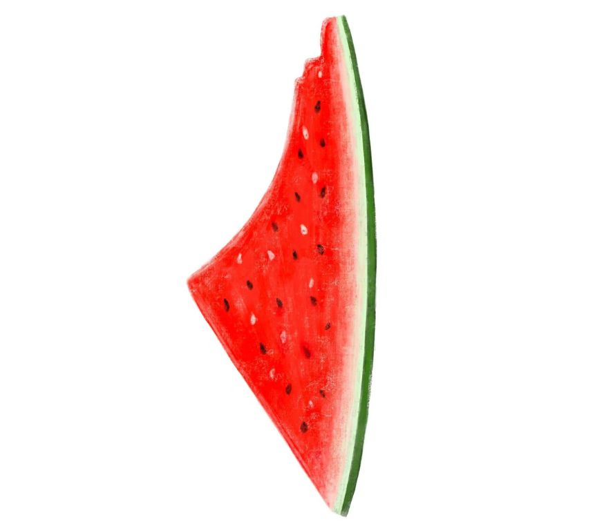 watermelon symbol palestine