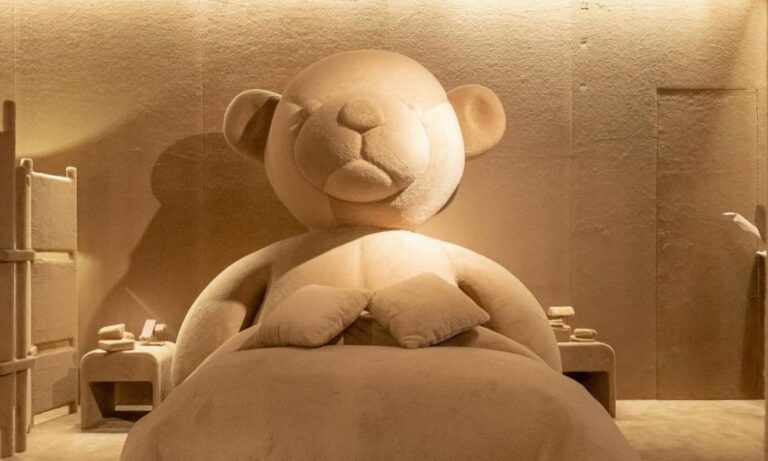 Max Mara Teddy Bear Coat Pop Up