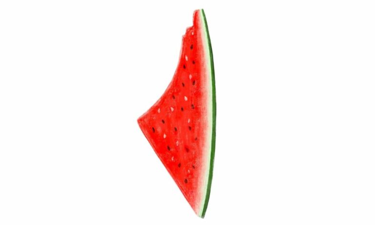 watermelon symbol palestine