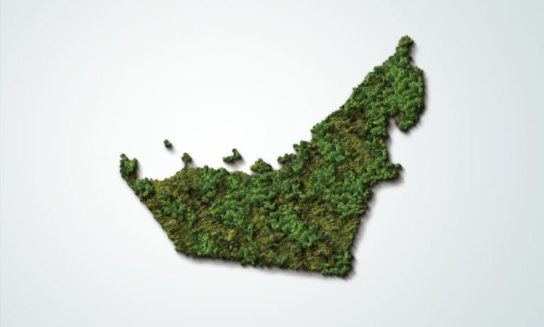 COP28 What to expect