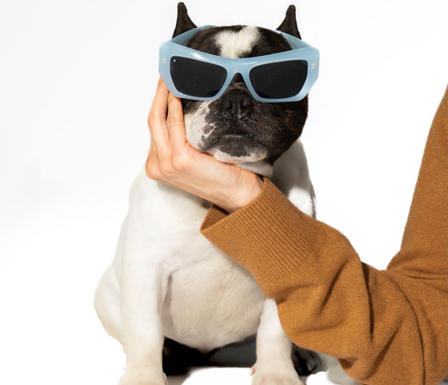 sunglasses for women