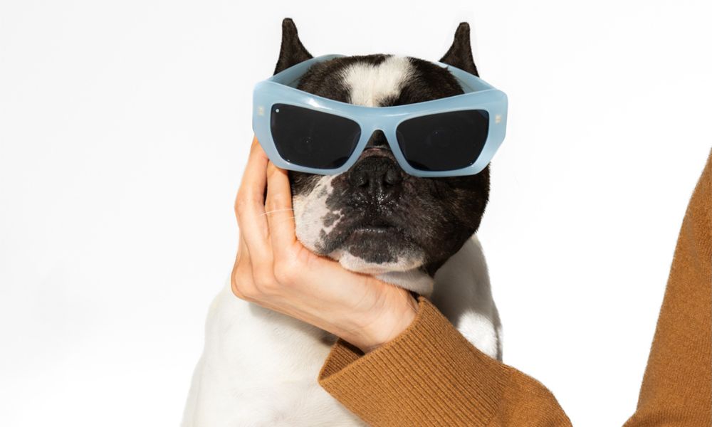 sunglasses for women