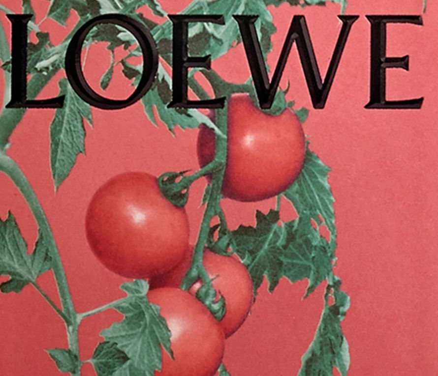 Loewe tomato clutch