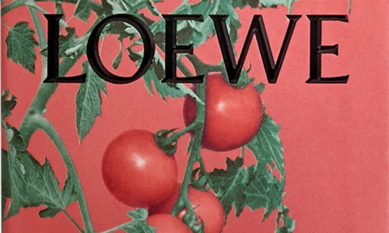 Loewe tomato clutch
