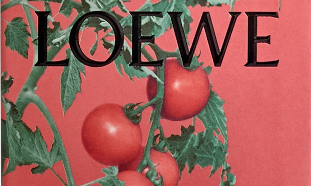 Loewe tomato clutch