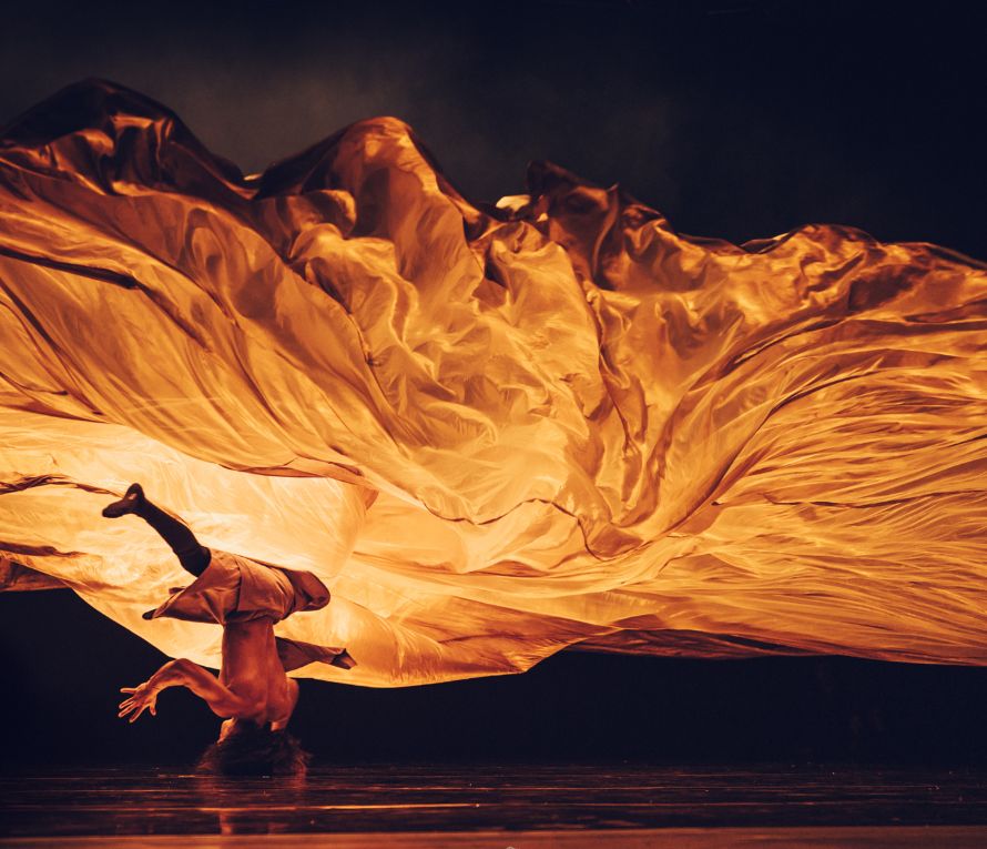 van cleef & arpels dance reflections