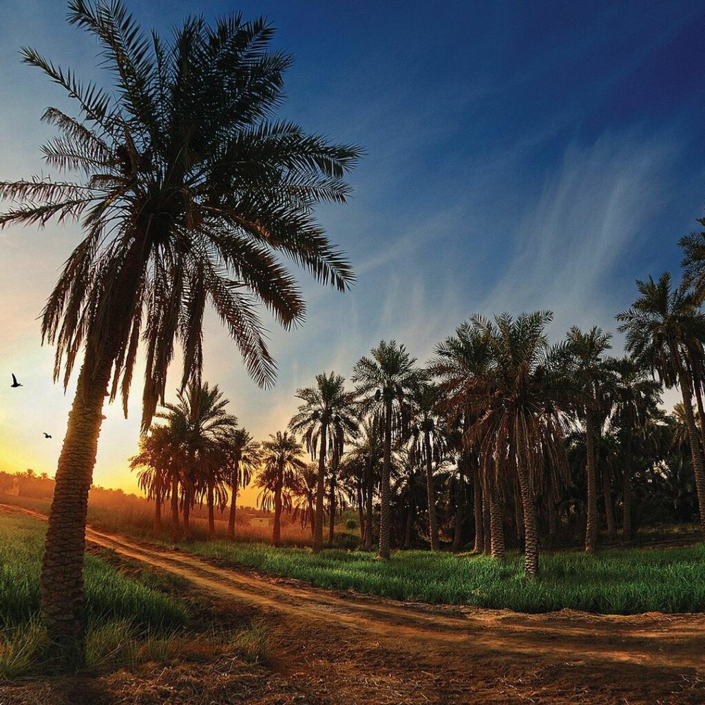 Places to Visit in Al Ahsa