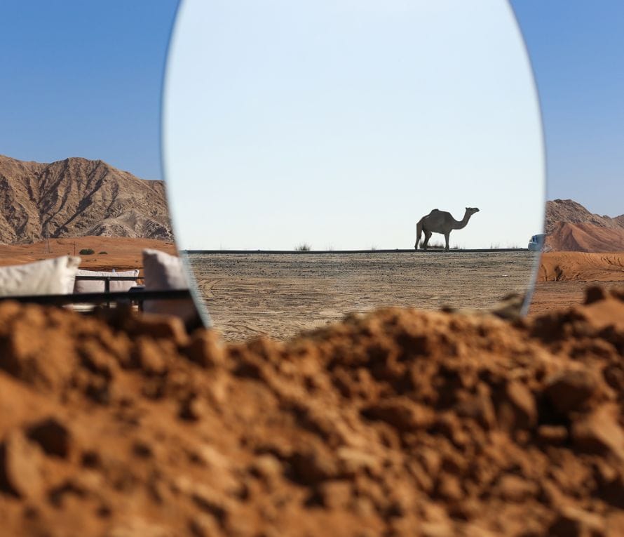 things to do in Dubai this weekend