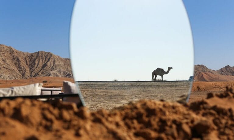 things to do in Dubai this weekend