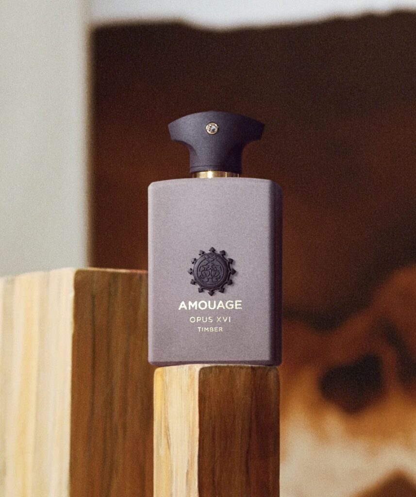 best beauty launches