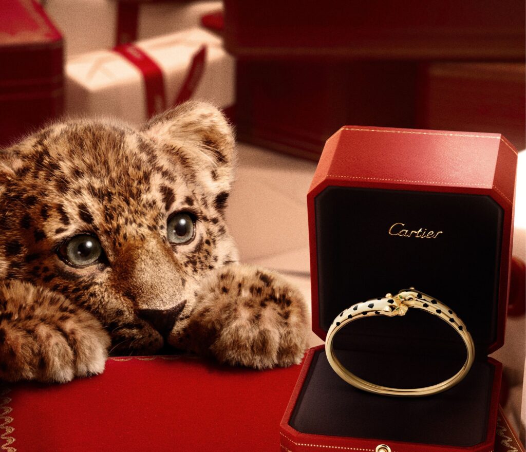 CARTIER IMAGINES A MAGICAL NIGHT WHERE BABY PANTHERS COME OUT TO PLAY.