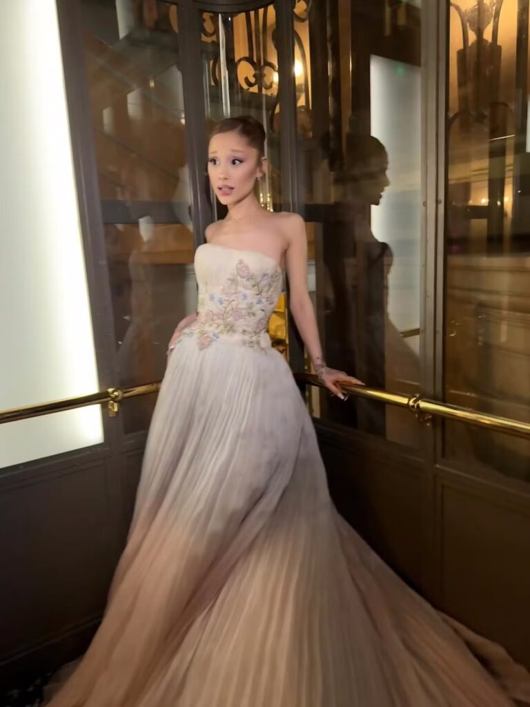 Ariana grande wicked: for good outfits