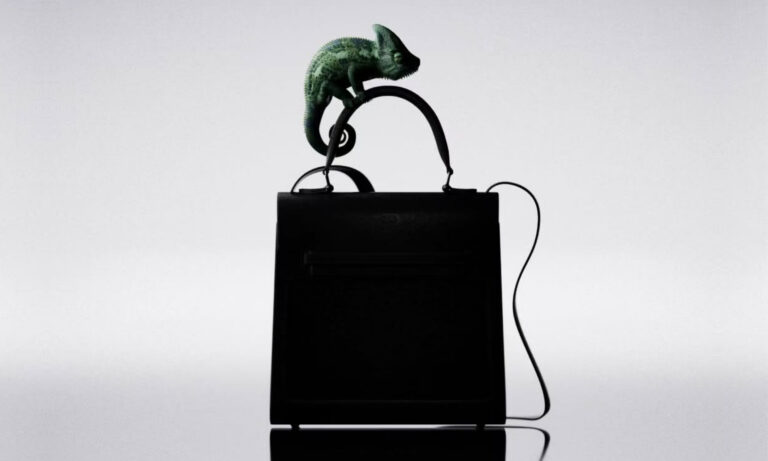 peuty handbags color changing handbags