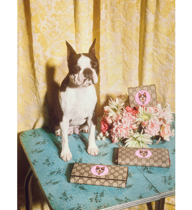 Gucci Year of the Dog capsule collection