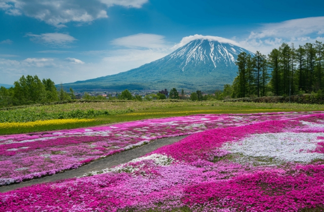 Hokkaido, Japan